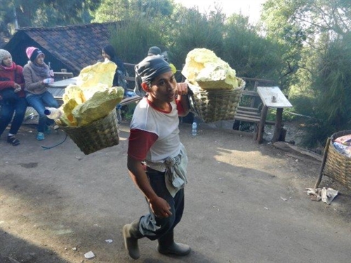 raccoglitori di zolfo